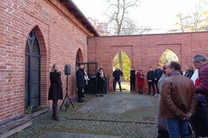 Biało-czerwony 7 listopada