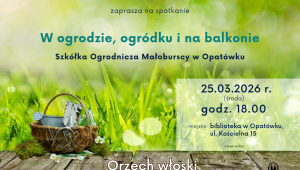 W ogrodzie, ogródku i na balkonie